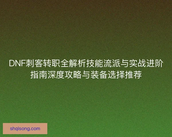 DNF刺客转职全解析技能流派与实战进阶指南深度攻略与装备选择推荐