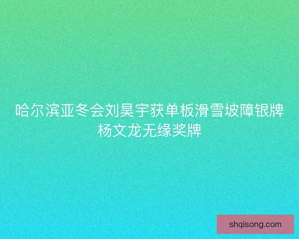 哈尔滨亚冬会刘昊宇获单板滑雪坡障银牌杨文龙无缘奖牌