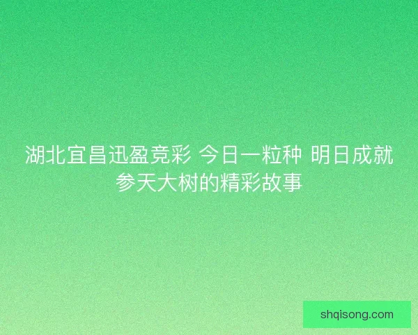 湖北宜昌迅盈竞彩 今日一粒种 明日成就参天大树的精彩故事